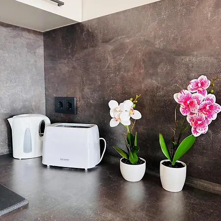 Zs15 Apartment Freital